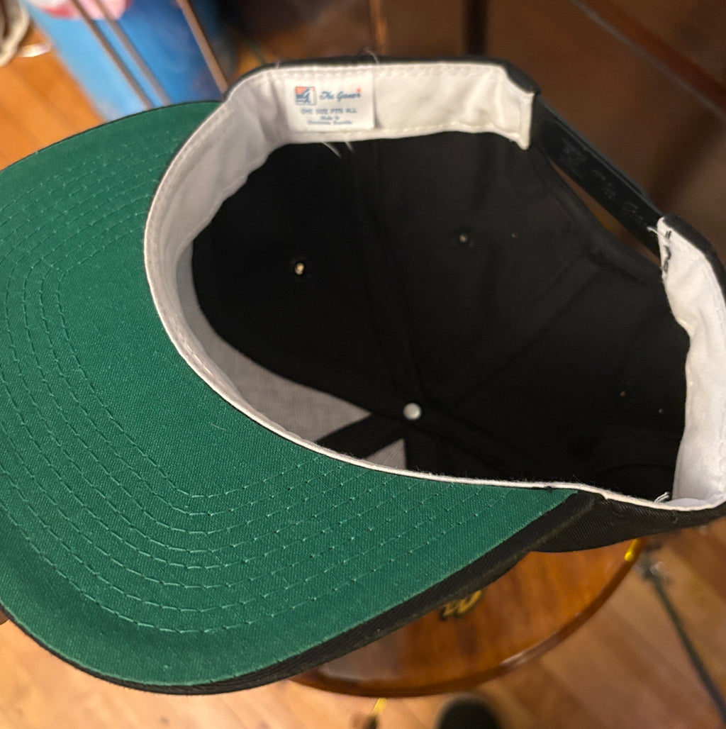 Vintage Carolina Panthers NFL SnapBack Hat