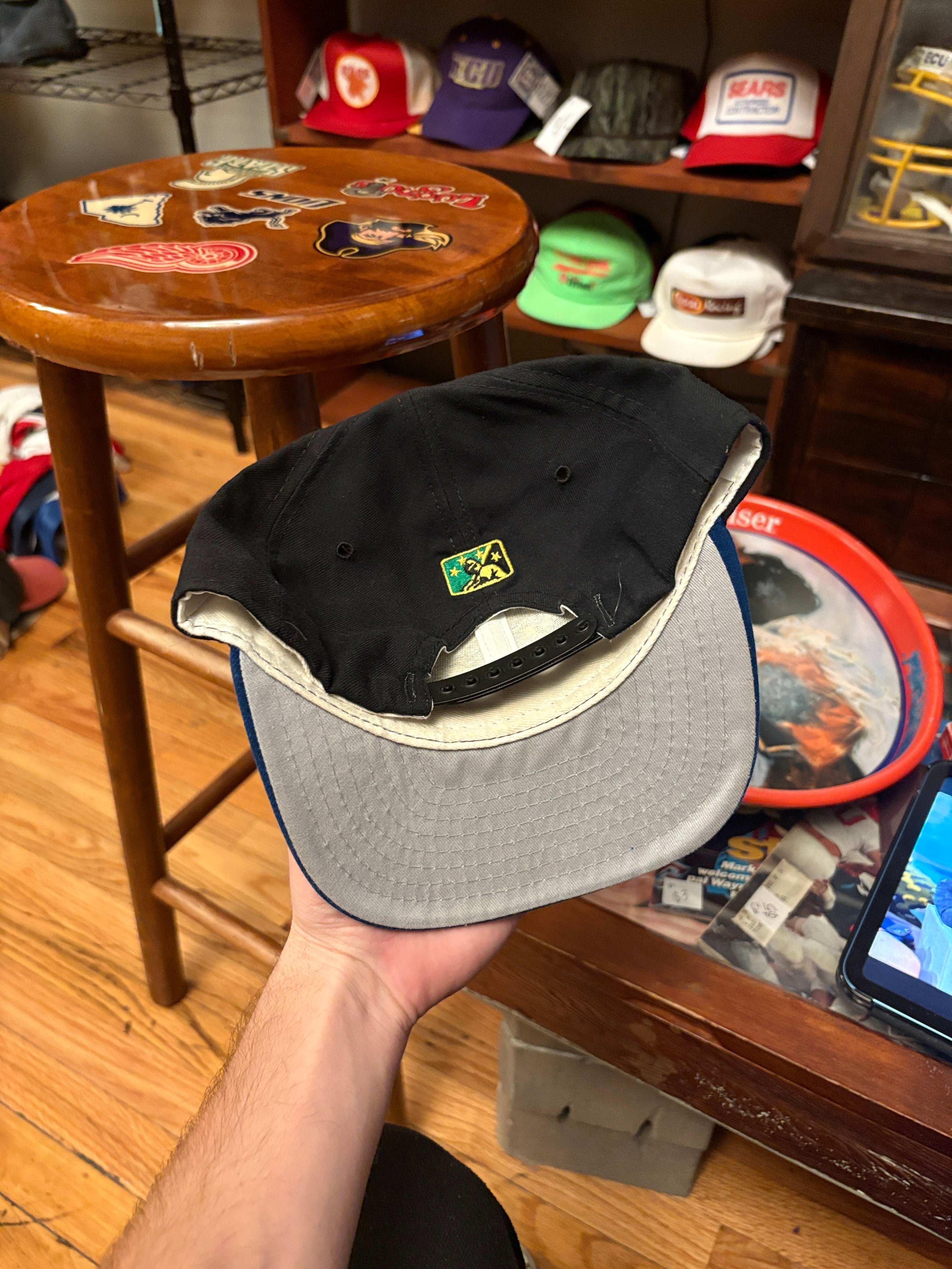 Vintage Trenton Thunder Minor League SnapBack Hat