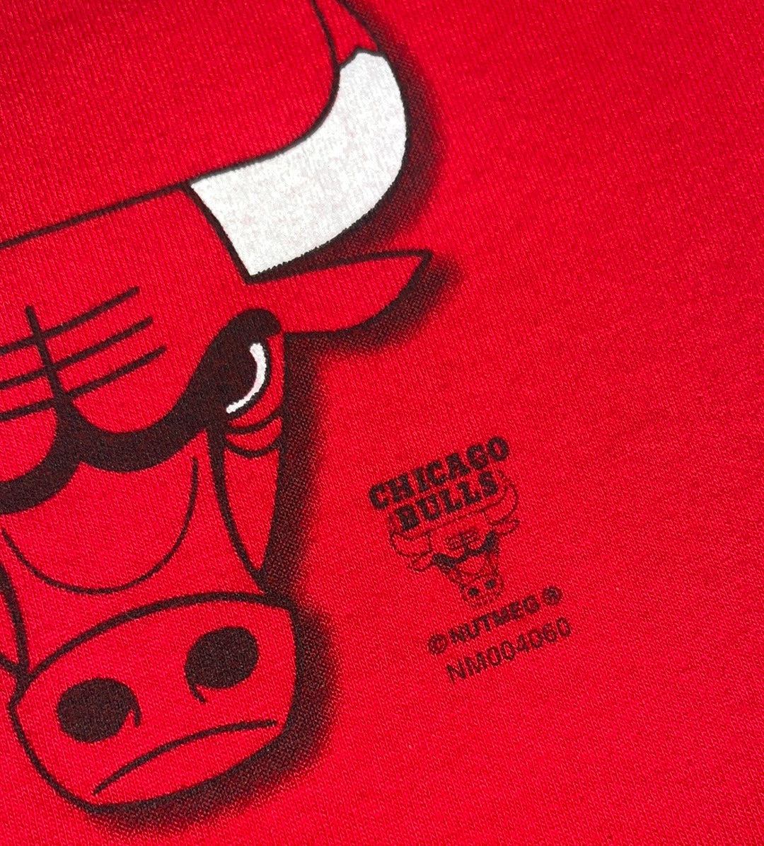 Vintage Chicago Bulls Lee Sport Tee - LARGE