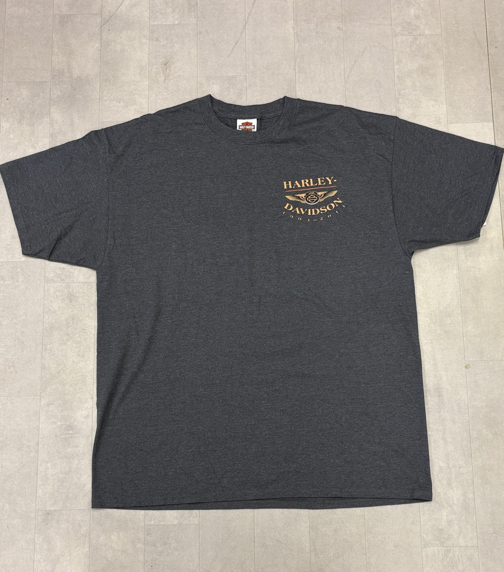 Harley Davison Winterville Tee