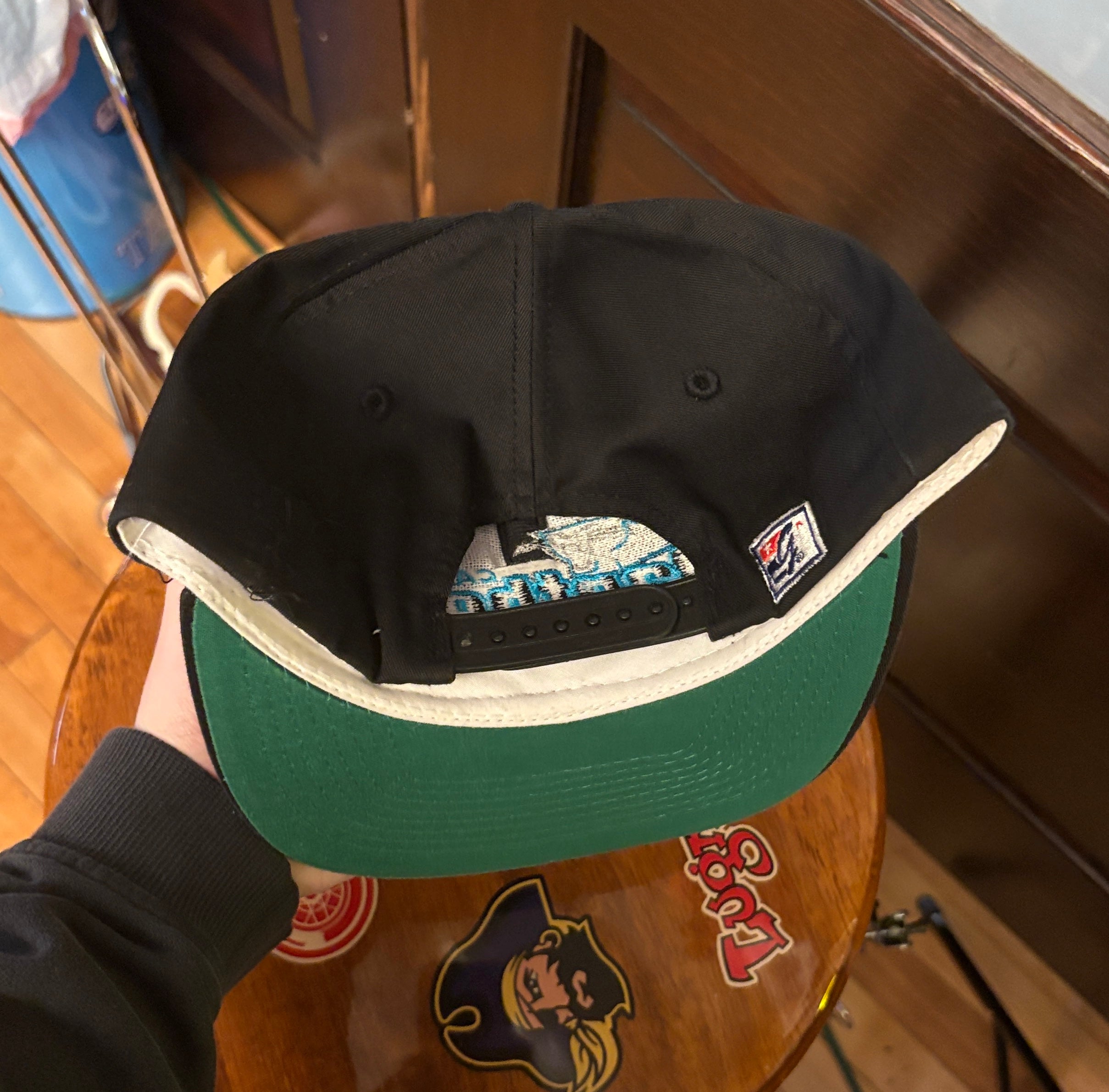 Vintage Carolina Panthers NFL SnapBack Hat