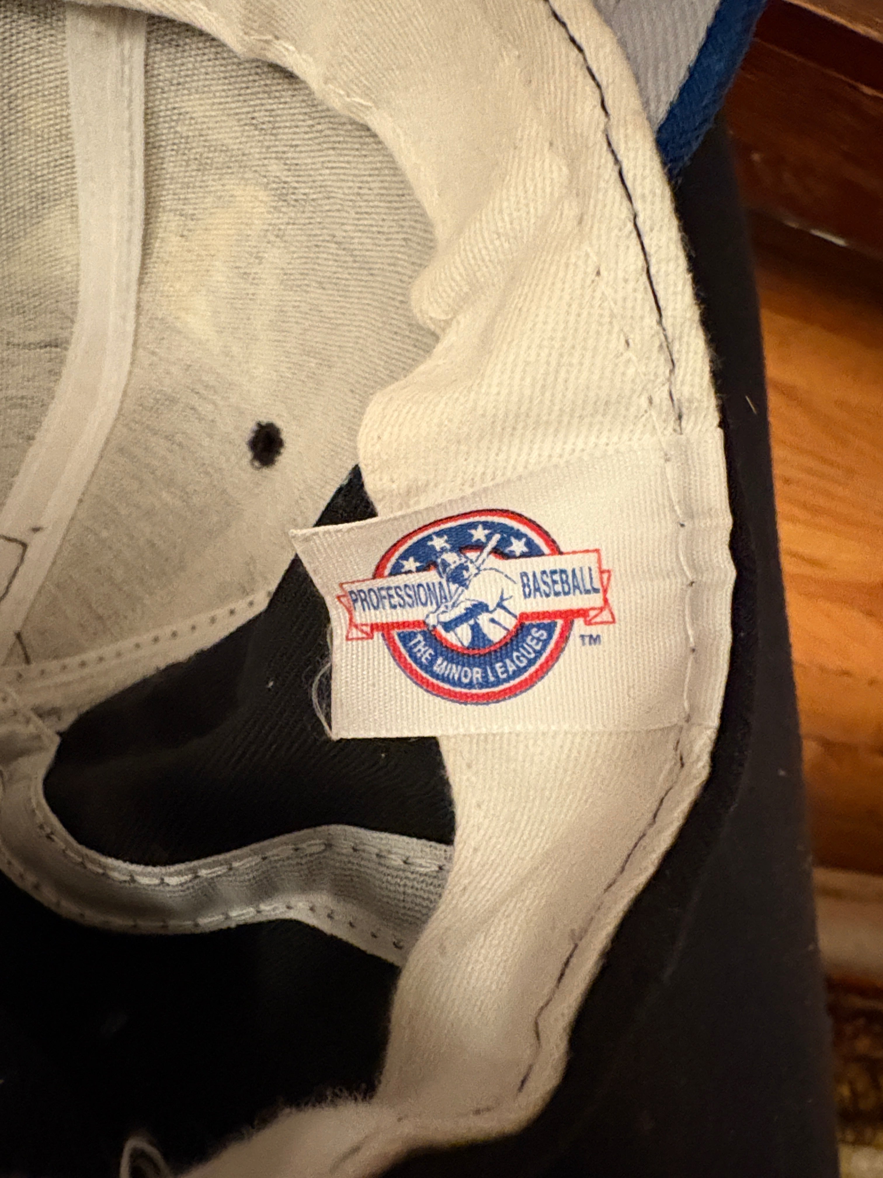 Vintage Trenton Thunder Minor League SnapBack Hat